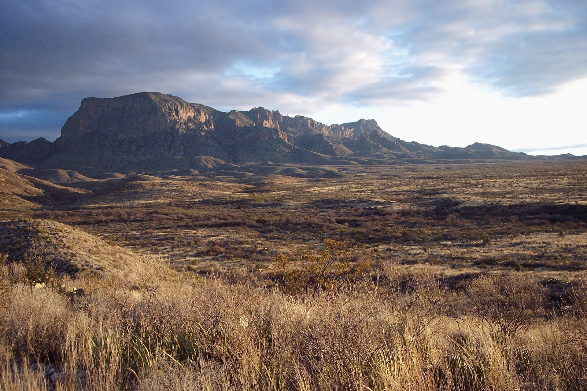 Chihuahuan Desert, Big Bend National Park